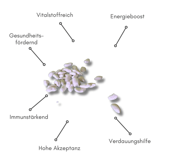 Biopur Reis-Pops