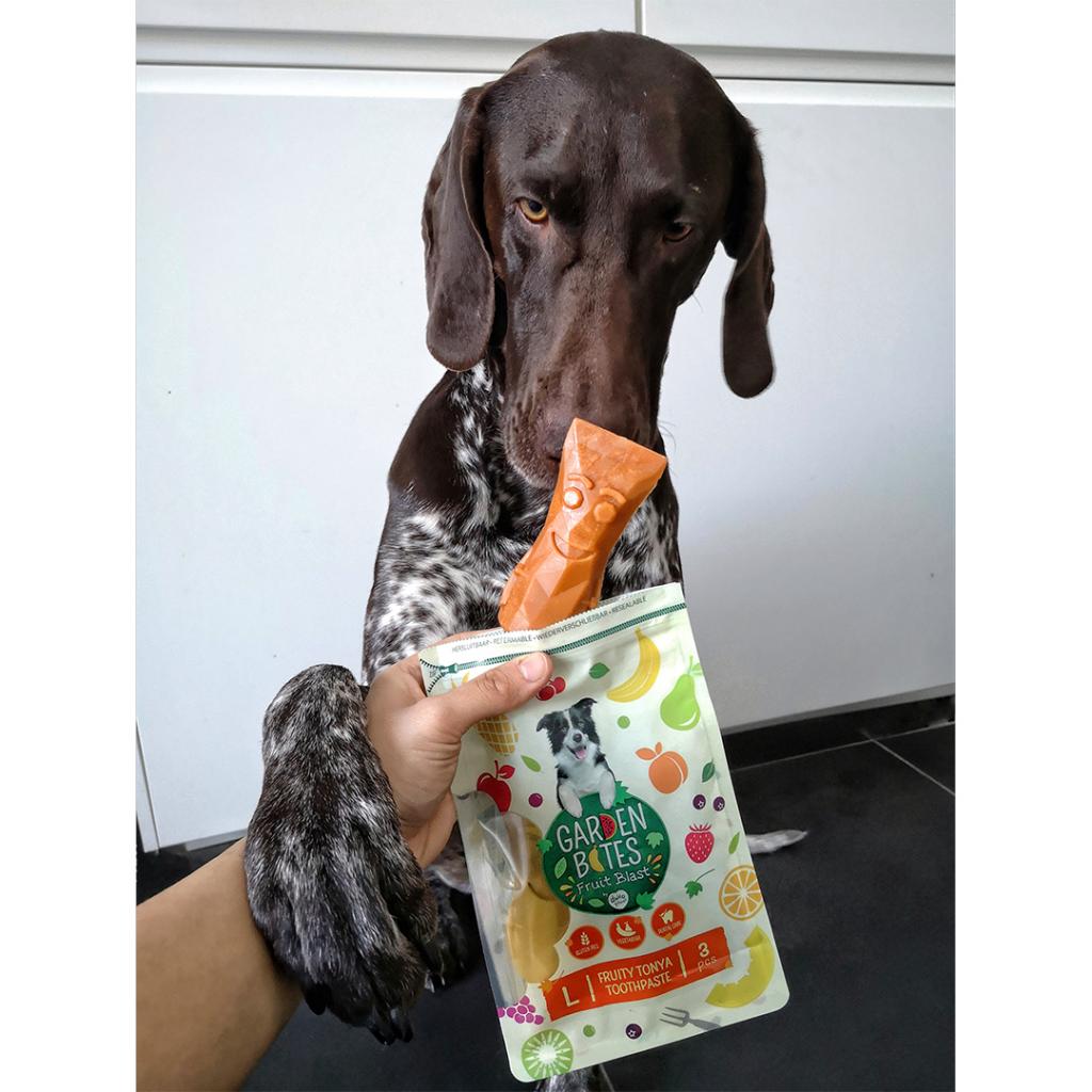 Garden Bites Fruity Tonya toothpaste Zahnbürsten