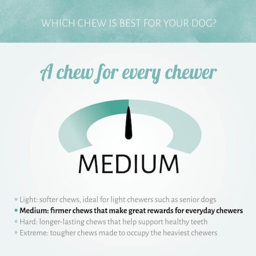 Antos Cerea Eurostar kleine vegane Kaustange