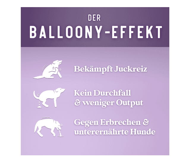 Balloony Trockenfutter - Superfood Linsen & Kartoffeln