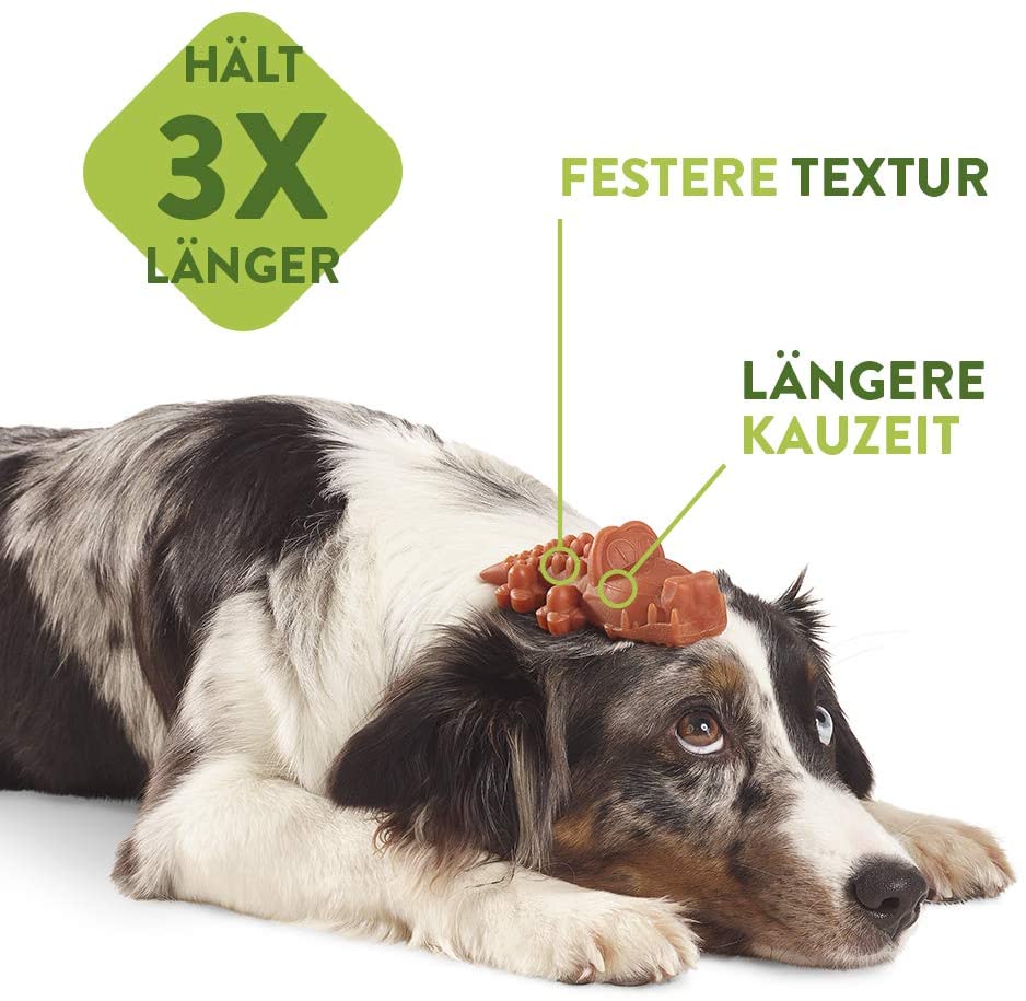 Whimzees Zahnbürste Kausnack - mit * = unverpackte Ware