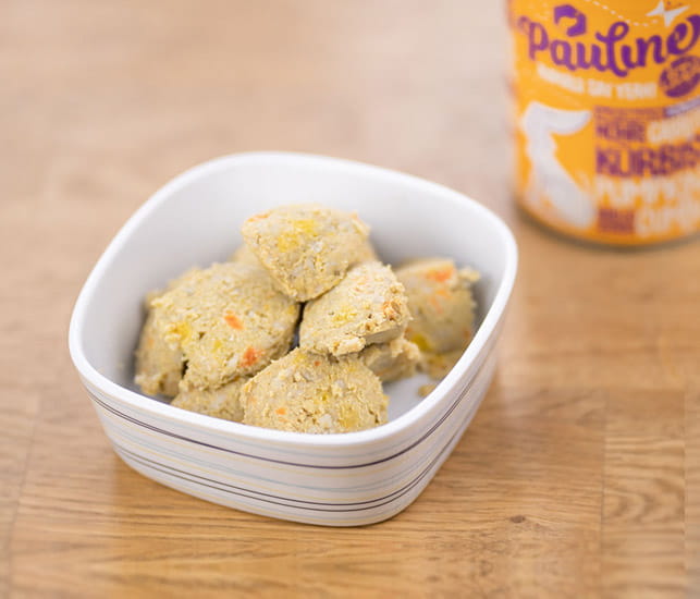Vegan4Dogs Pauline 100 % veganes Hundefutter mit Linse, Hafer, Erbse und Hanf + B12, Taurin, L-Carnitin bei Veganapf kaufen