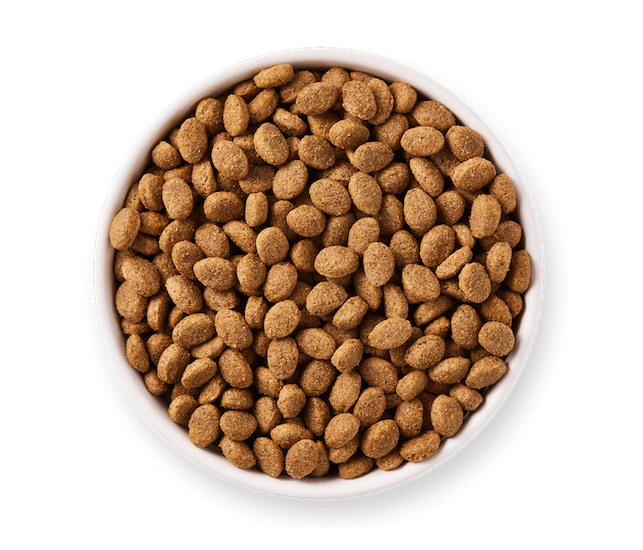 Yarrah Trockenfutter Senior