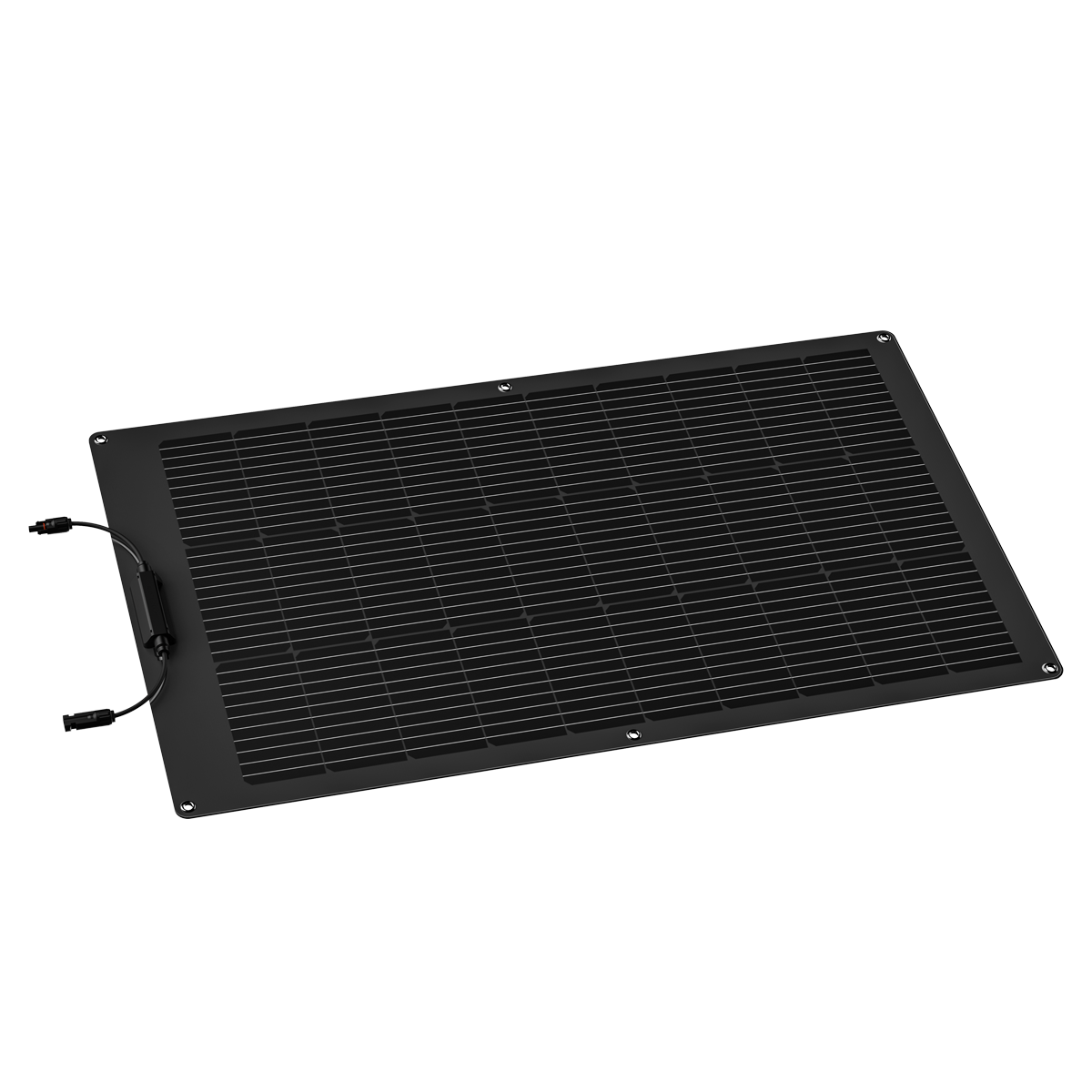 EcoFlow 100W Solar Panel (Flexible)