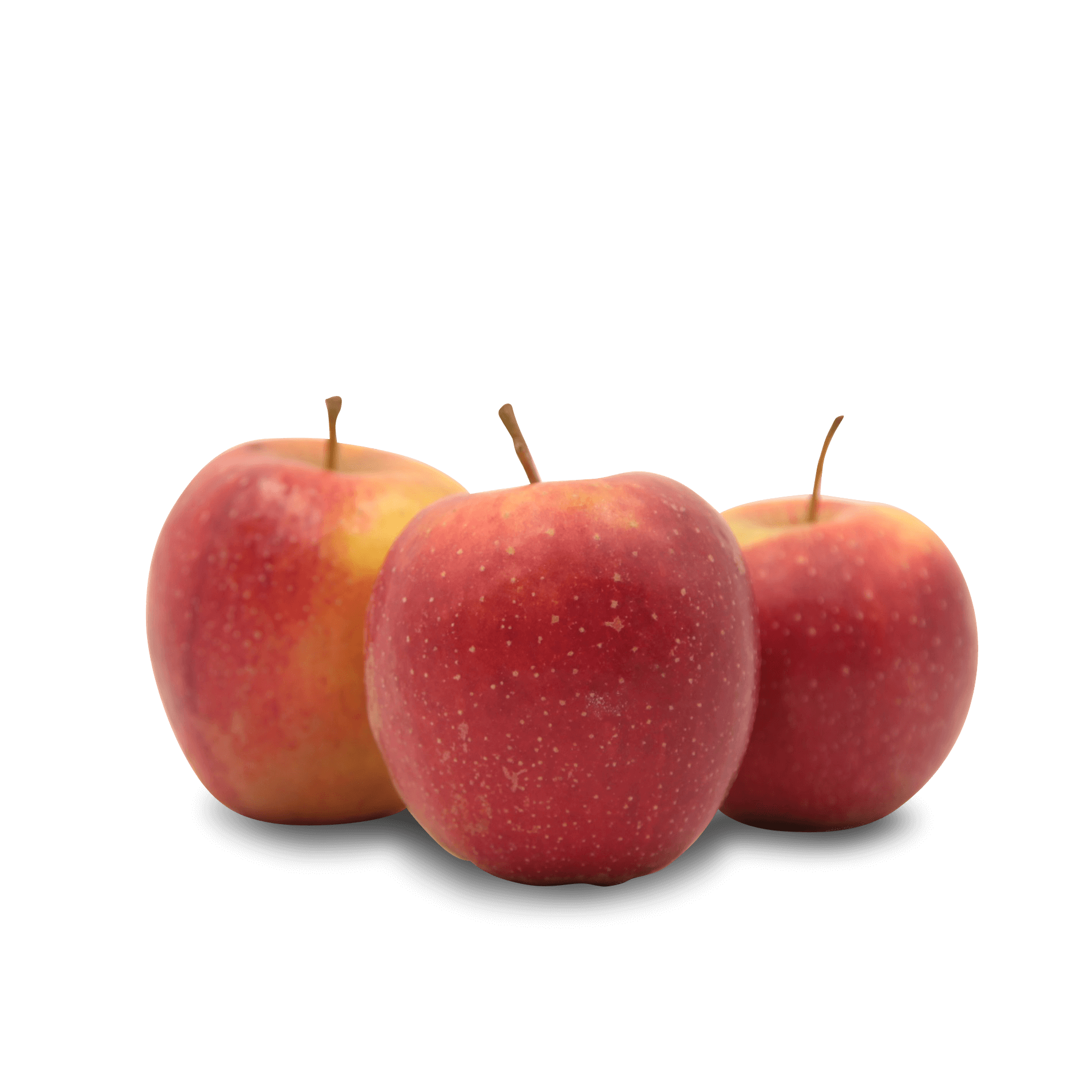 Apfel 'Wellant'