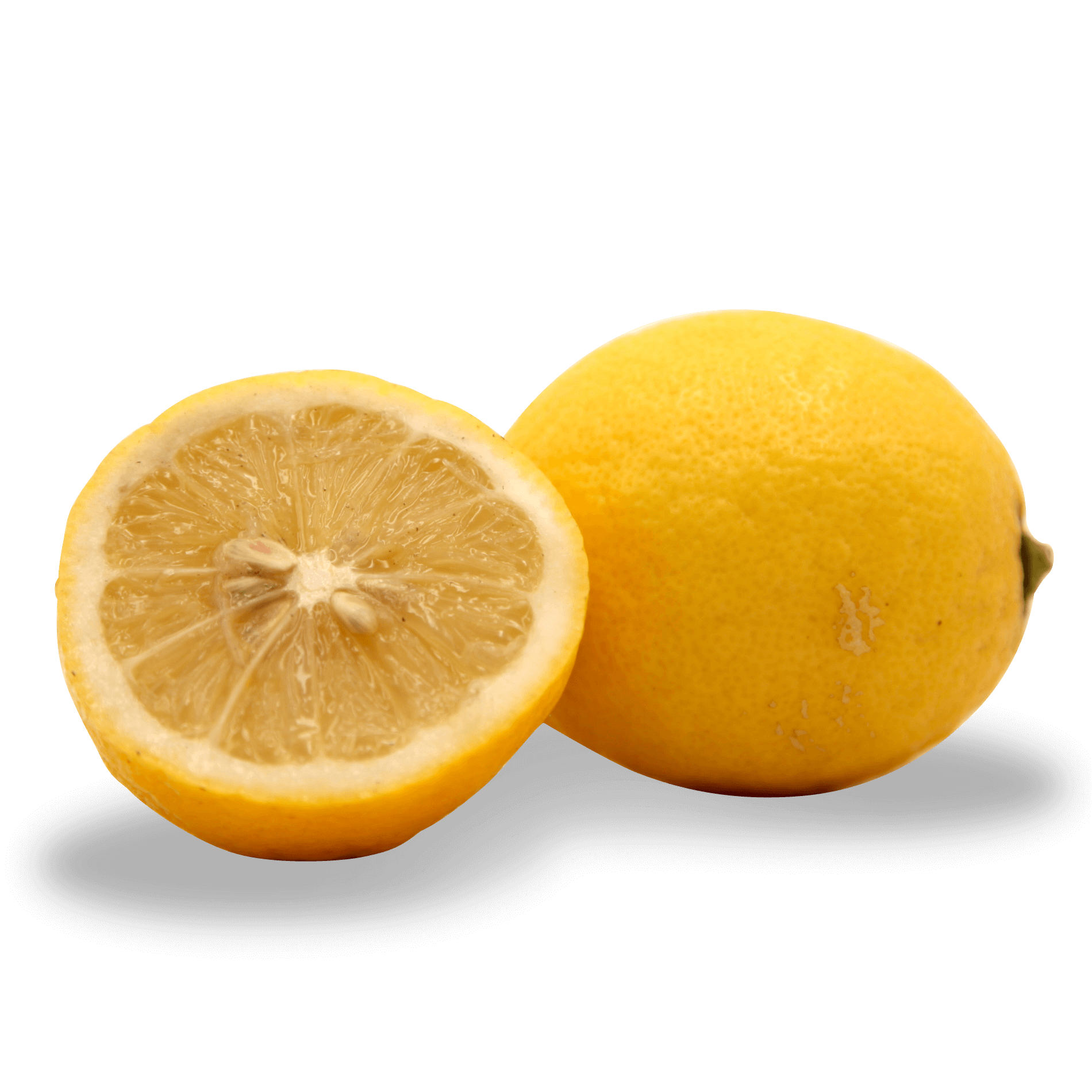 Bio Zitrone