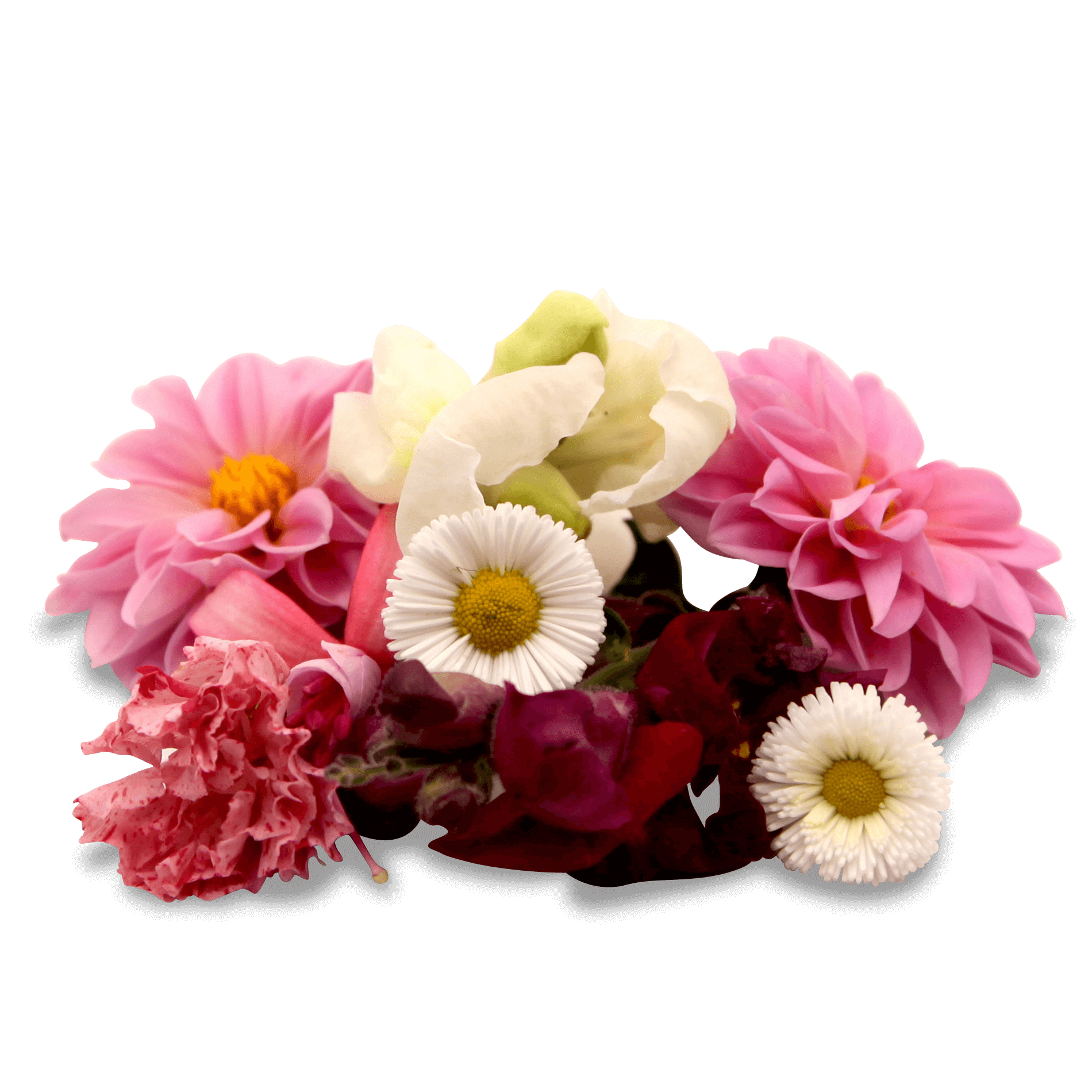 Blüten Mix