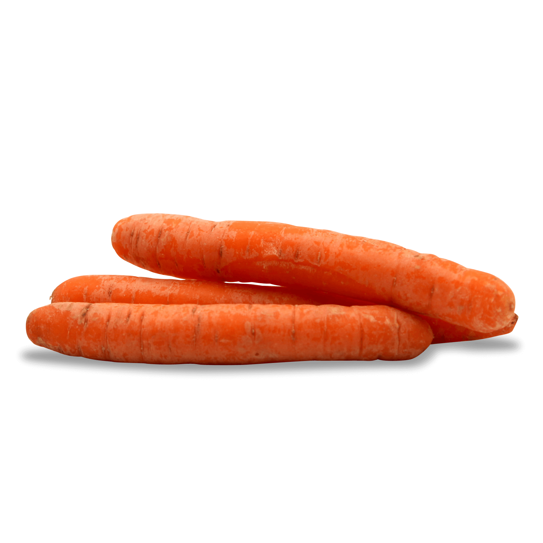 Bio Karotten