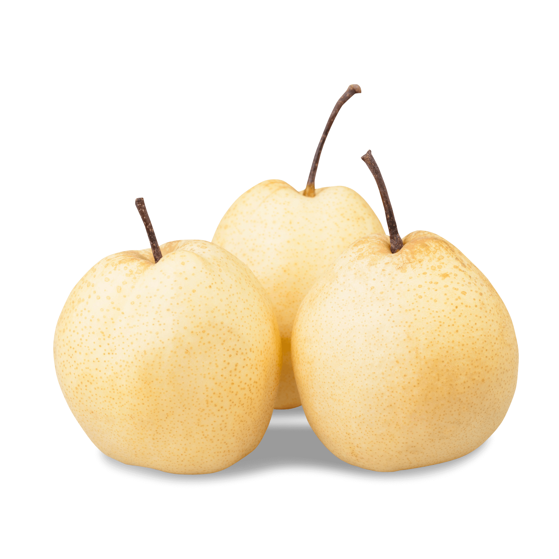 Birne 'Nashi'