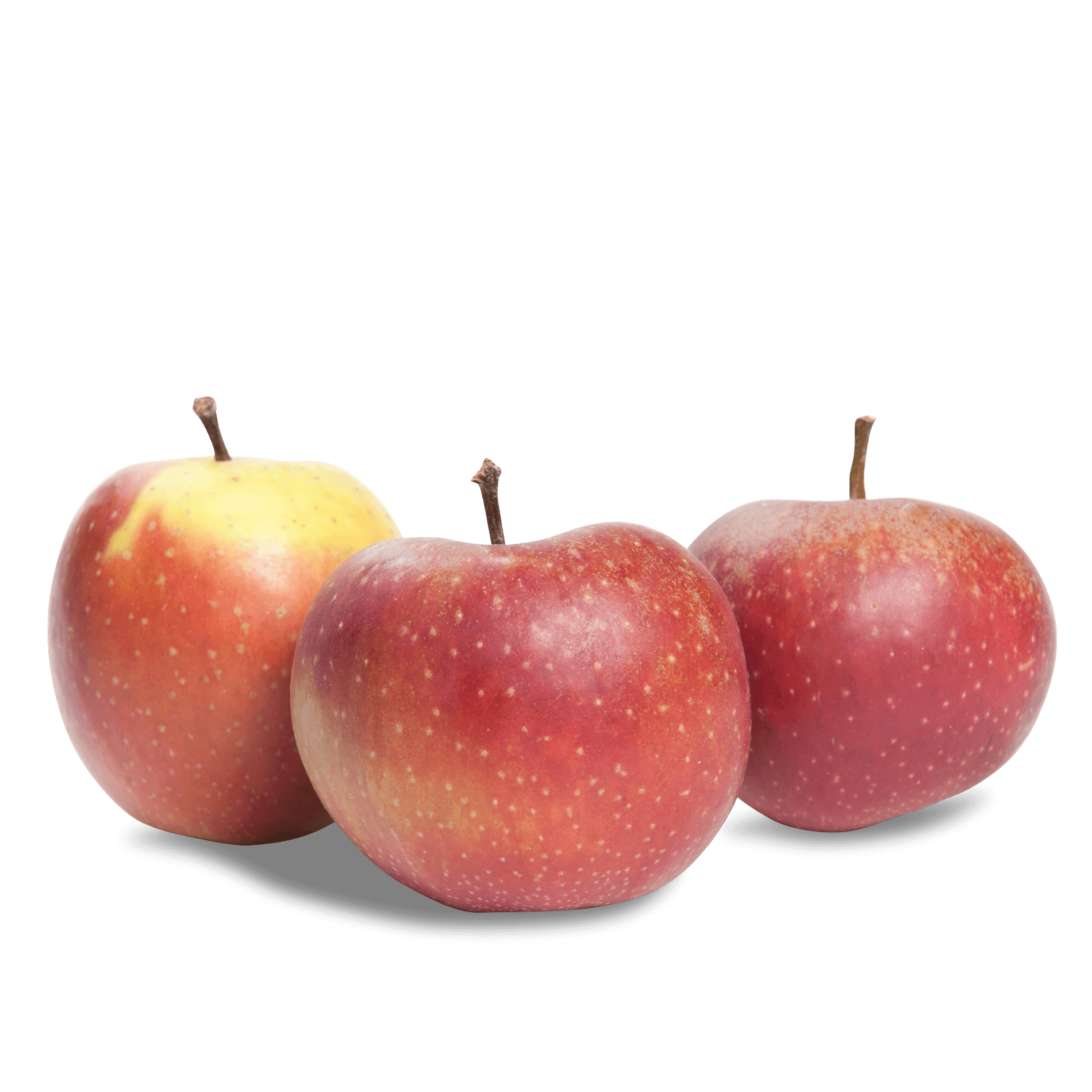 Apfel 'Boskoop'