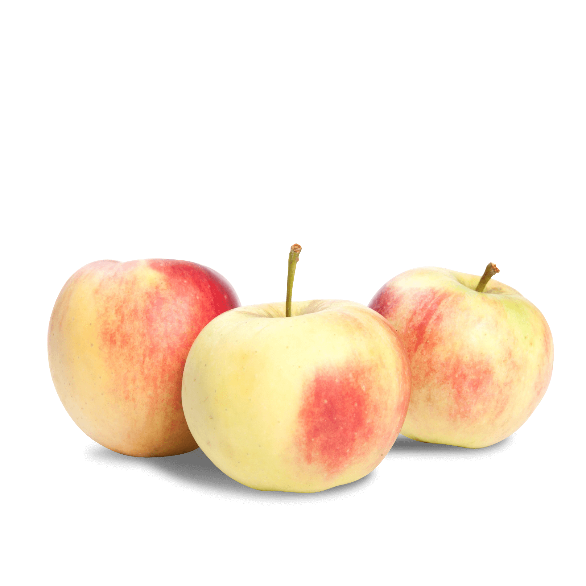 Apfel 'Elstar'