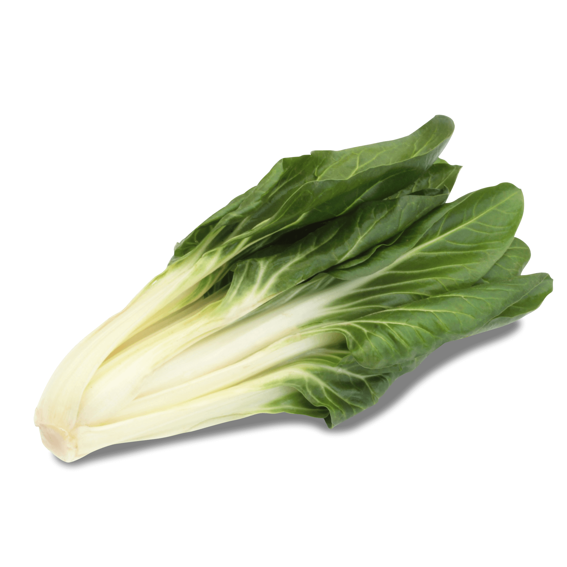 Mangold 'grün'