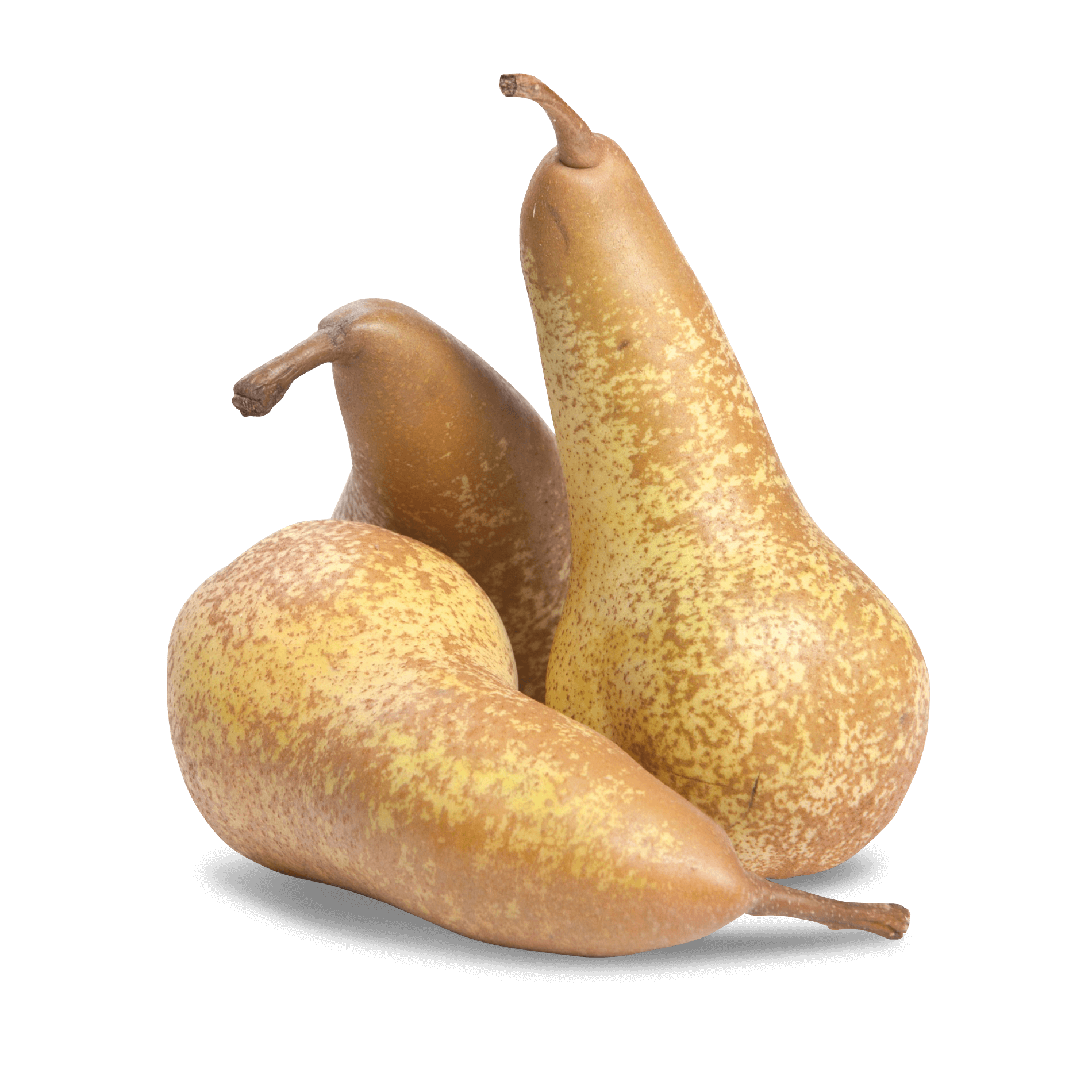 Birne 'Abate'