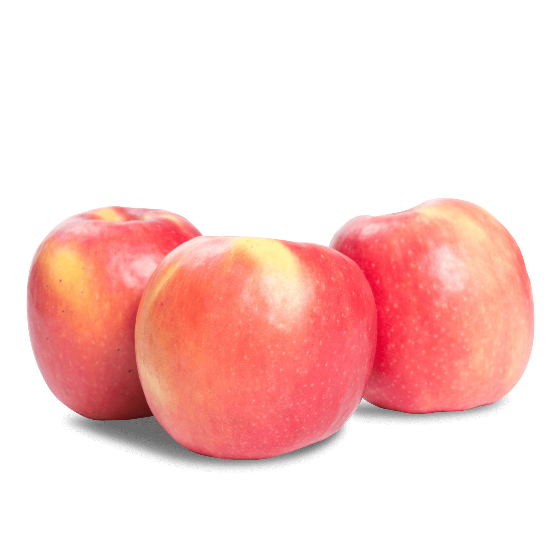 Apfel 'Pink Lady'