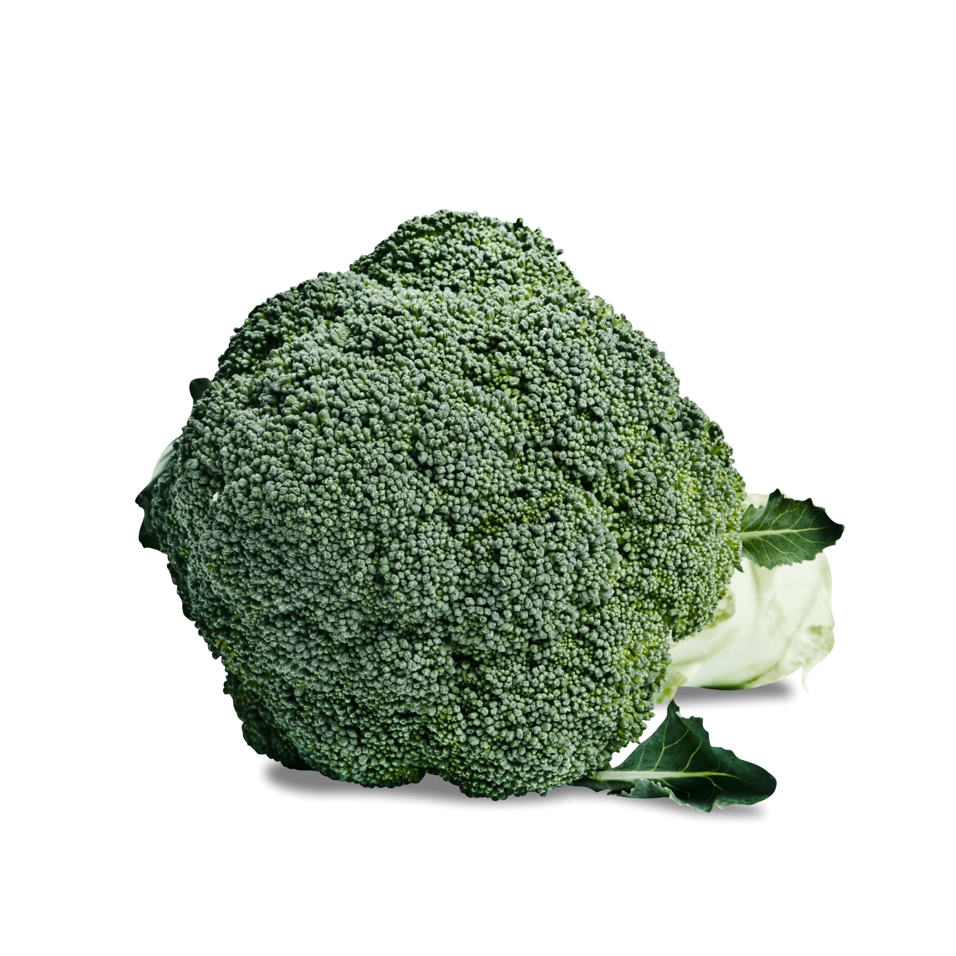 Brokkoli