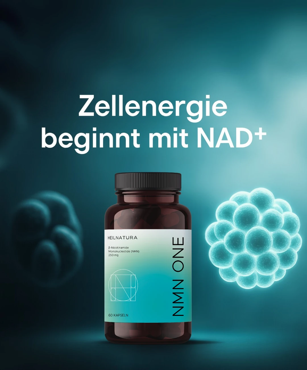 NMN-BLOG-APO-Hero-Mobile