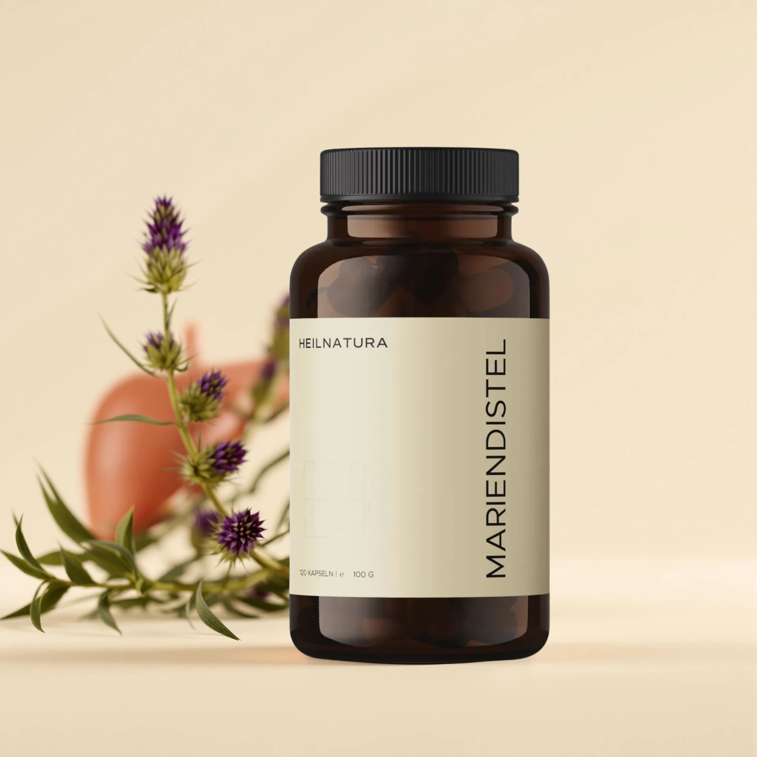 Mariendistel Extrakt Kapseln Mariendistel Extrakt Kapseln