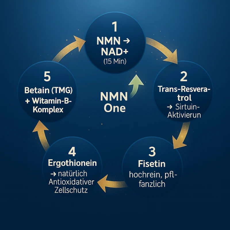 NMN ONE: Kombinieren