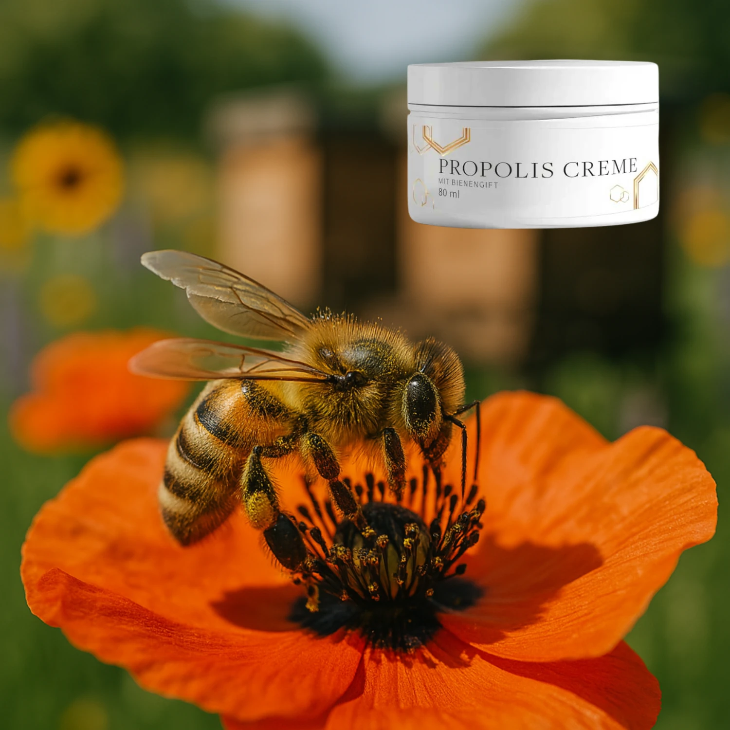 Crème à la propolis et au venin d'abeille (80 ml) 