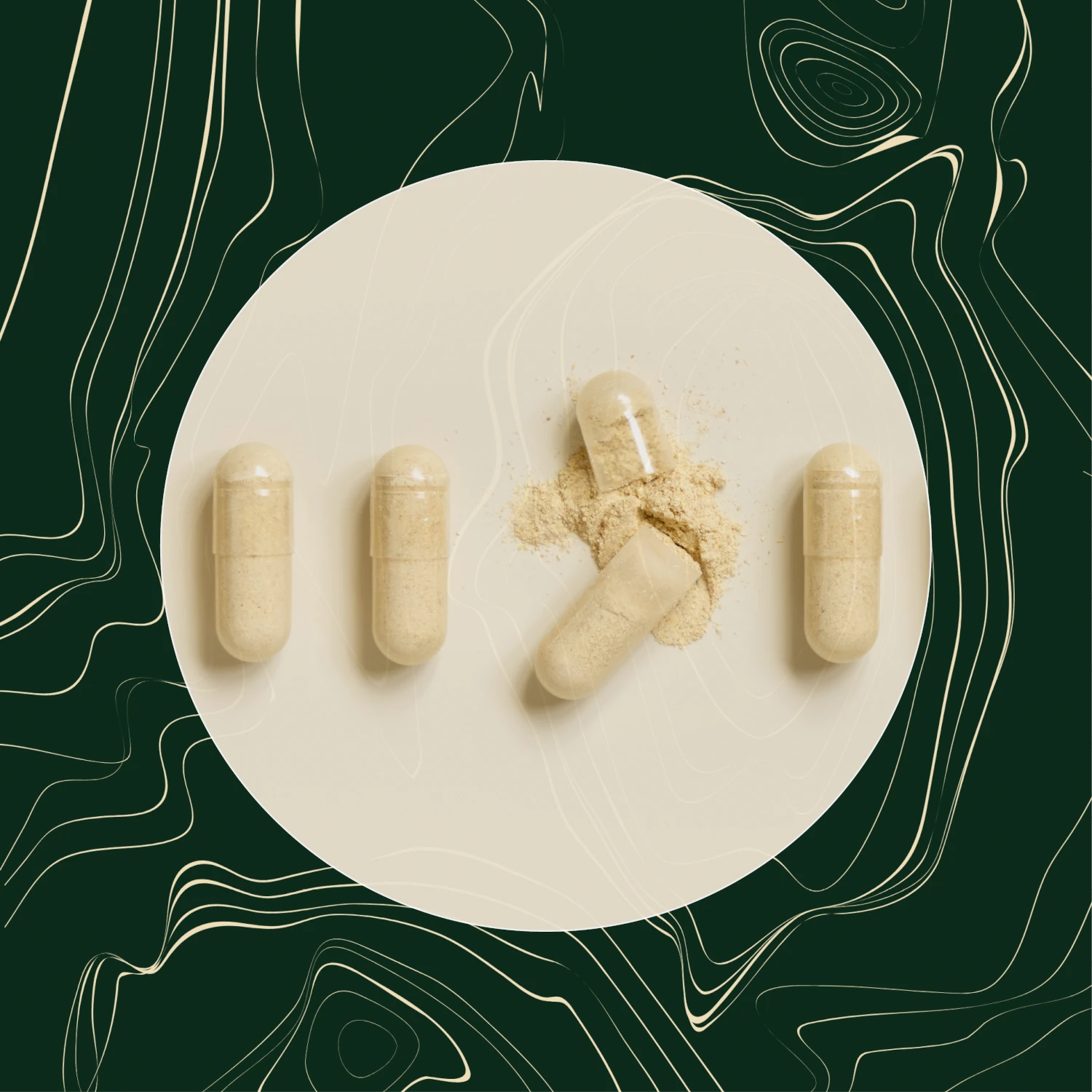 Dr. Schiffmann's TinnitusGuard Dr. Schiffmann's TinnitusGuard