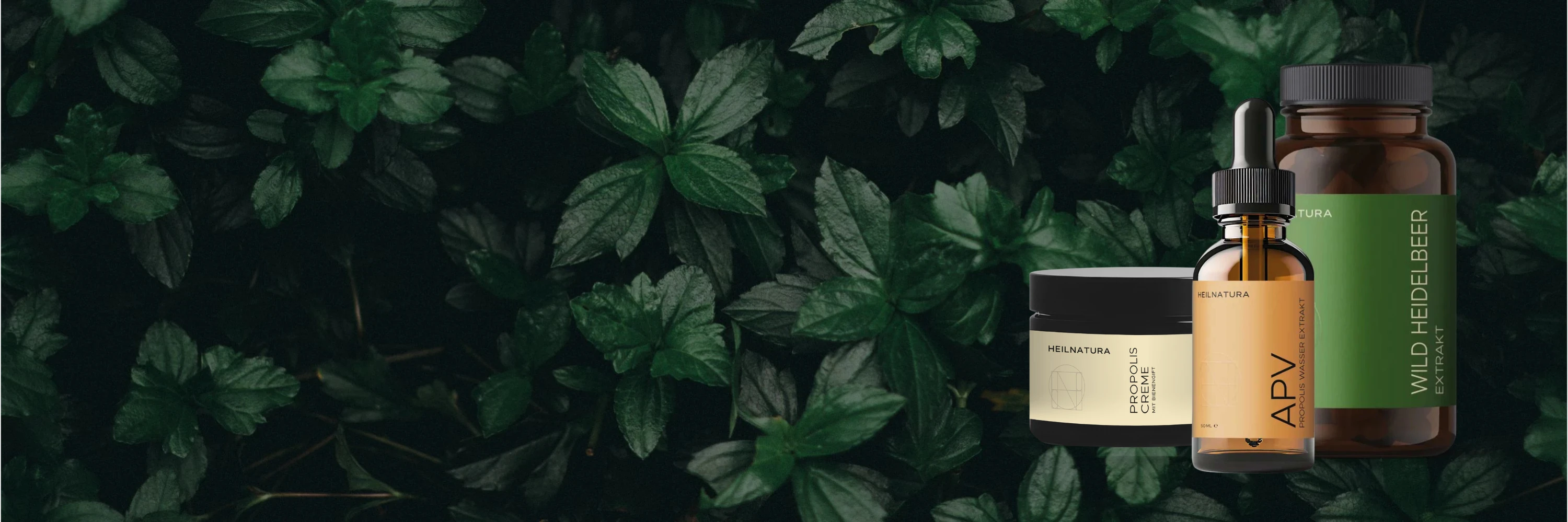 Blog-Bestseller-Zhdanov-Hero