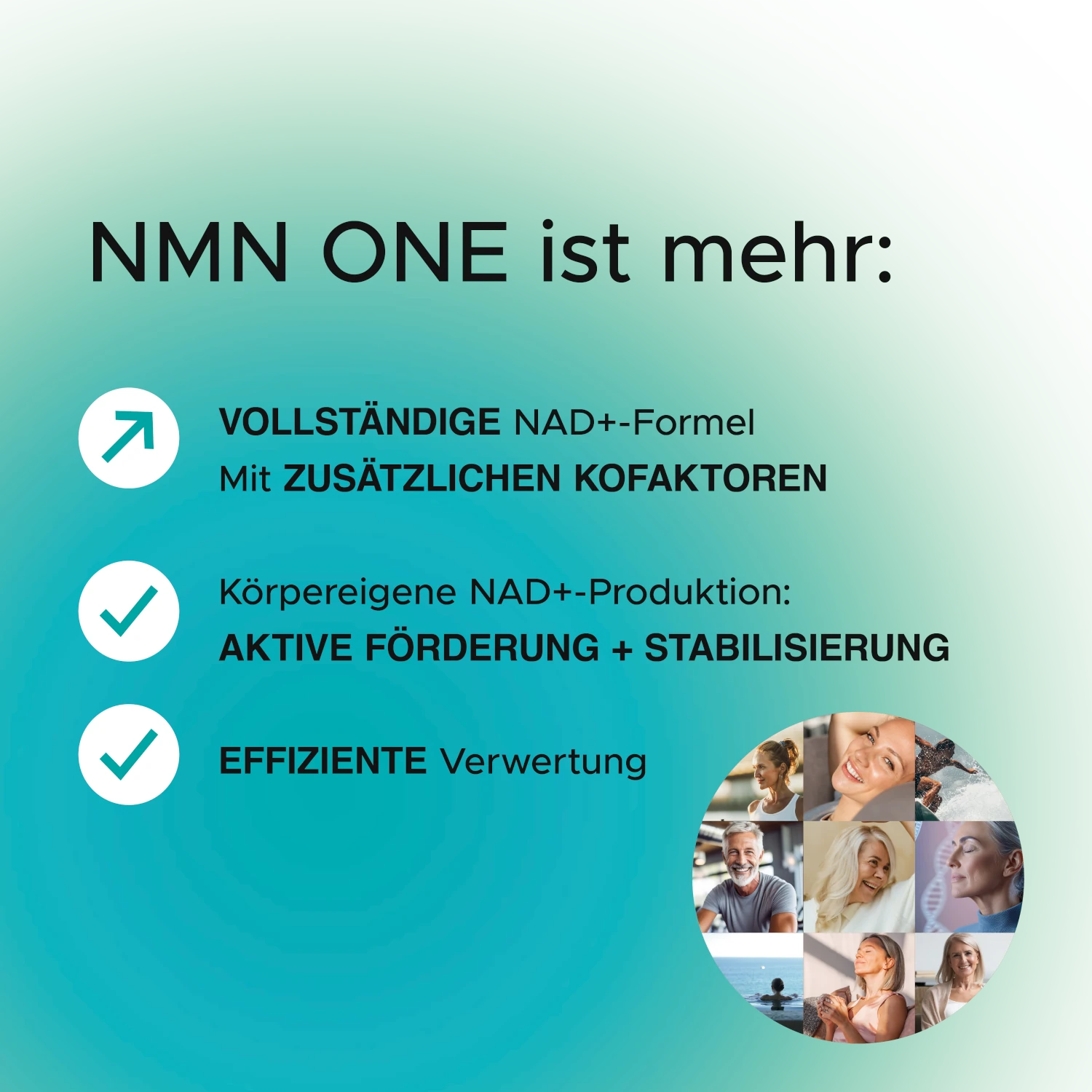 NMN ONE