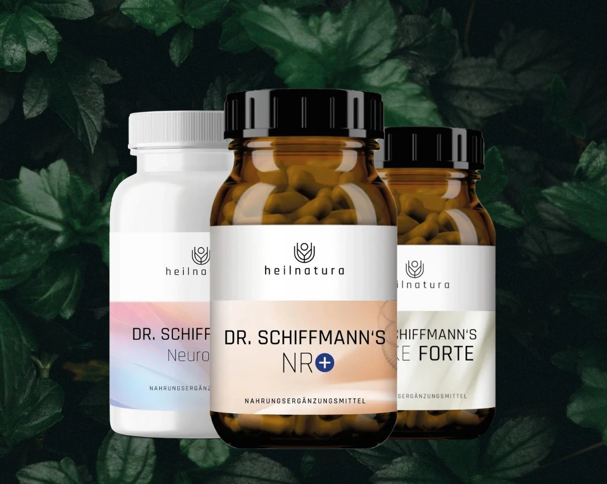 Blog_Besteseller_Schiffmann_Hero_Mobile