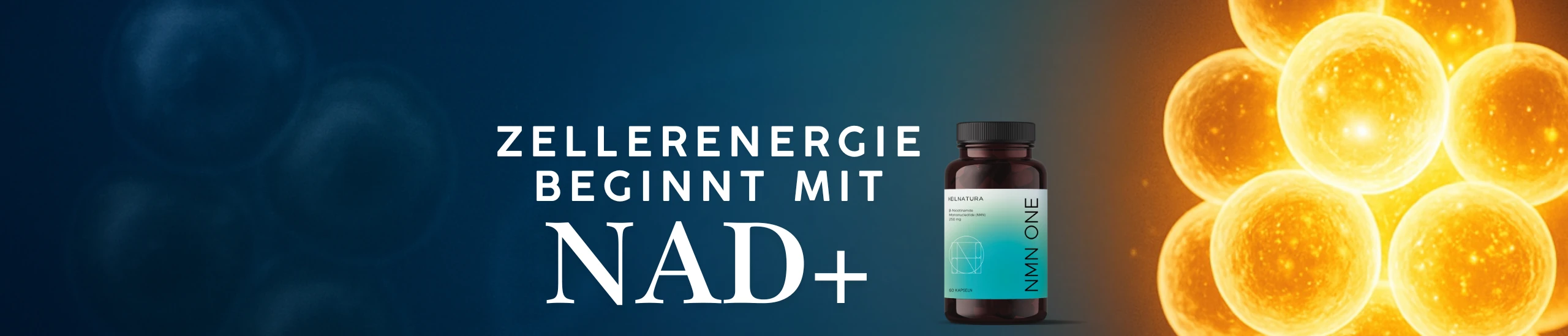 NMN-HERO-LP (2560 x 550 px)_(1)