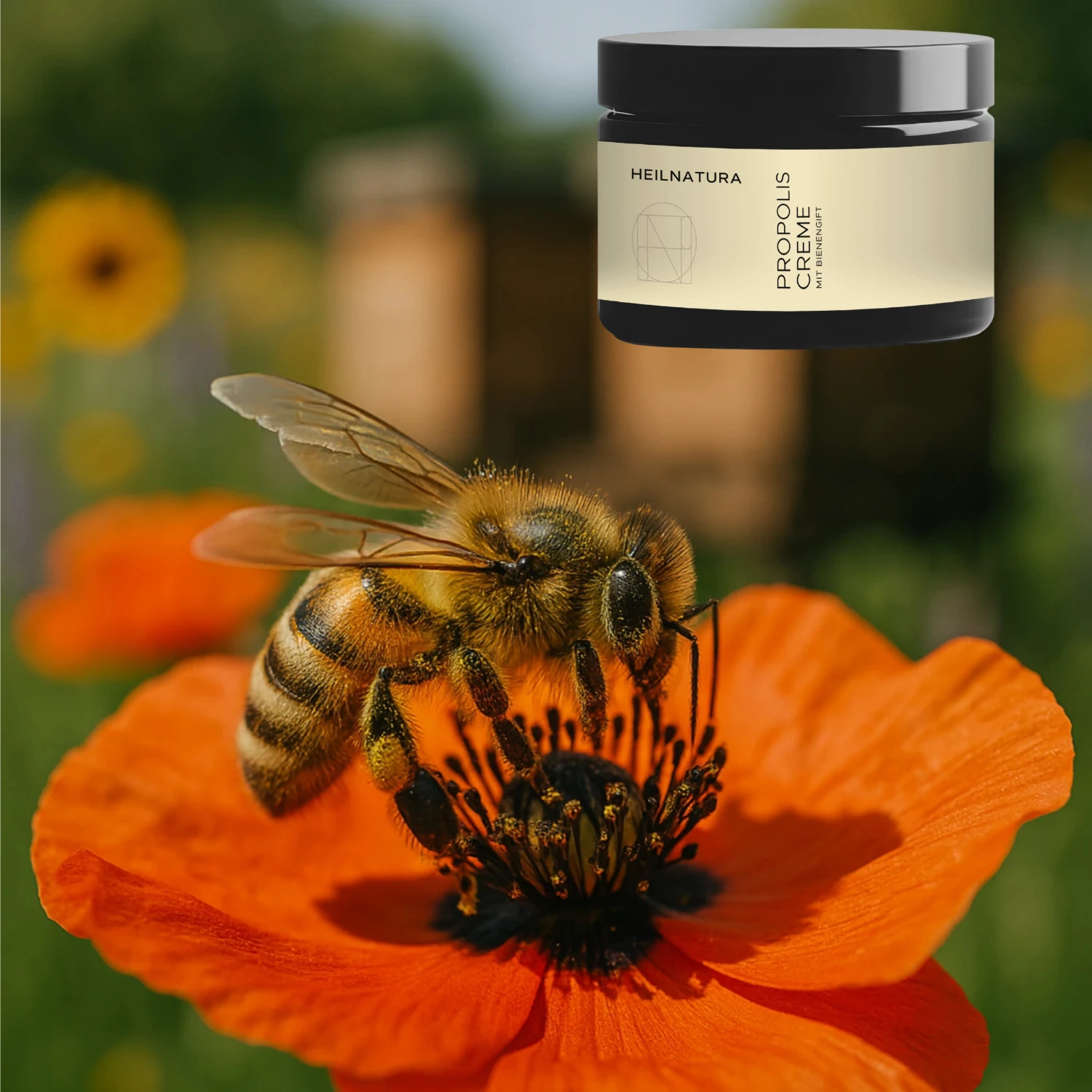Propolis Creme mit Bienengift (80 ml) 