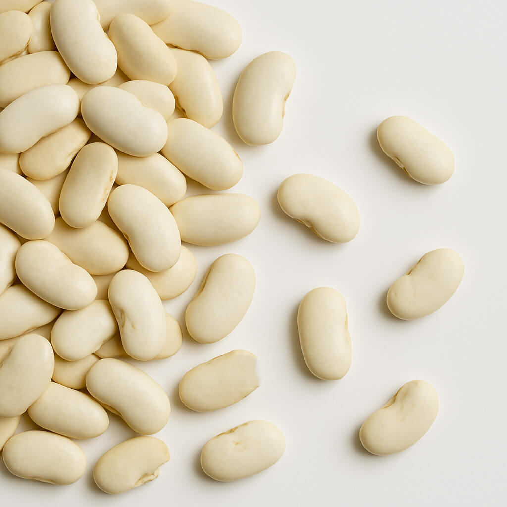 Close-up of dried cannellini beans on white background