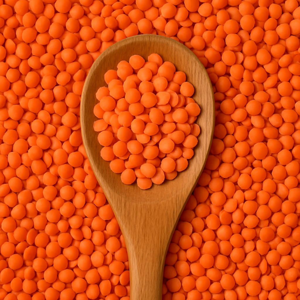 Wooden spoon filled with red lentils, close-up