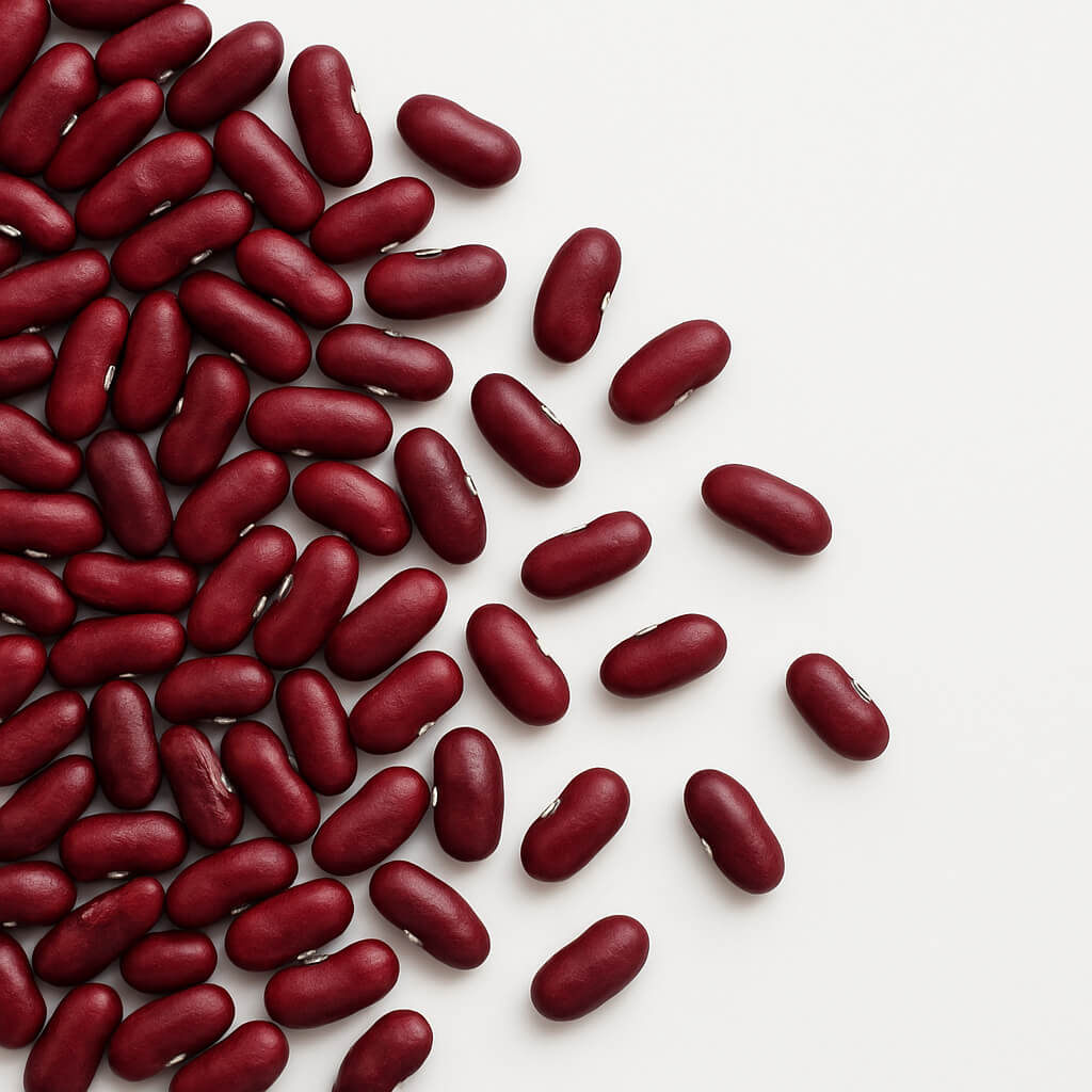 Scattered red kidney beans, top view
