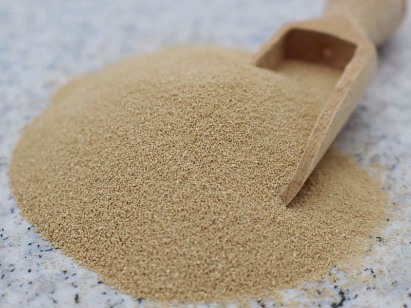 Hefe "Meister Backhefe" trocken glutenfrei bio 1x390g BioVegan