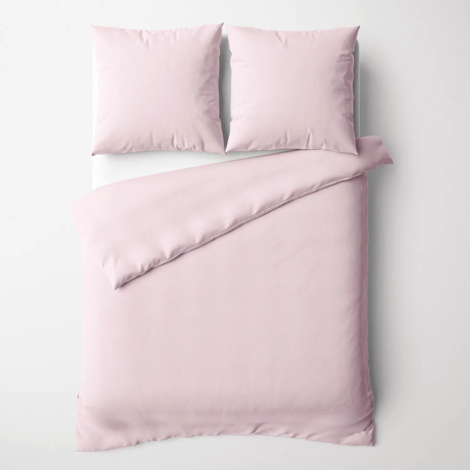 000009109405 - 2100 rose