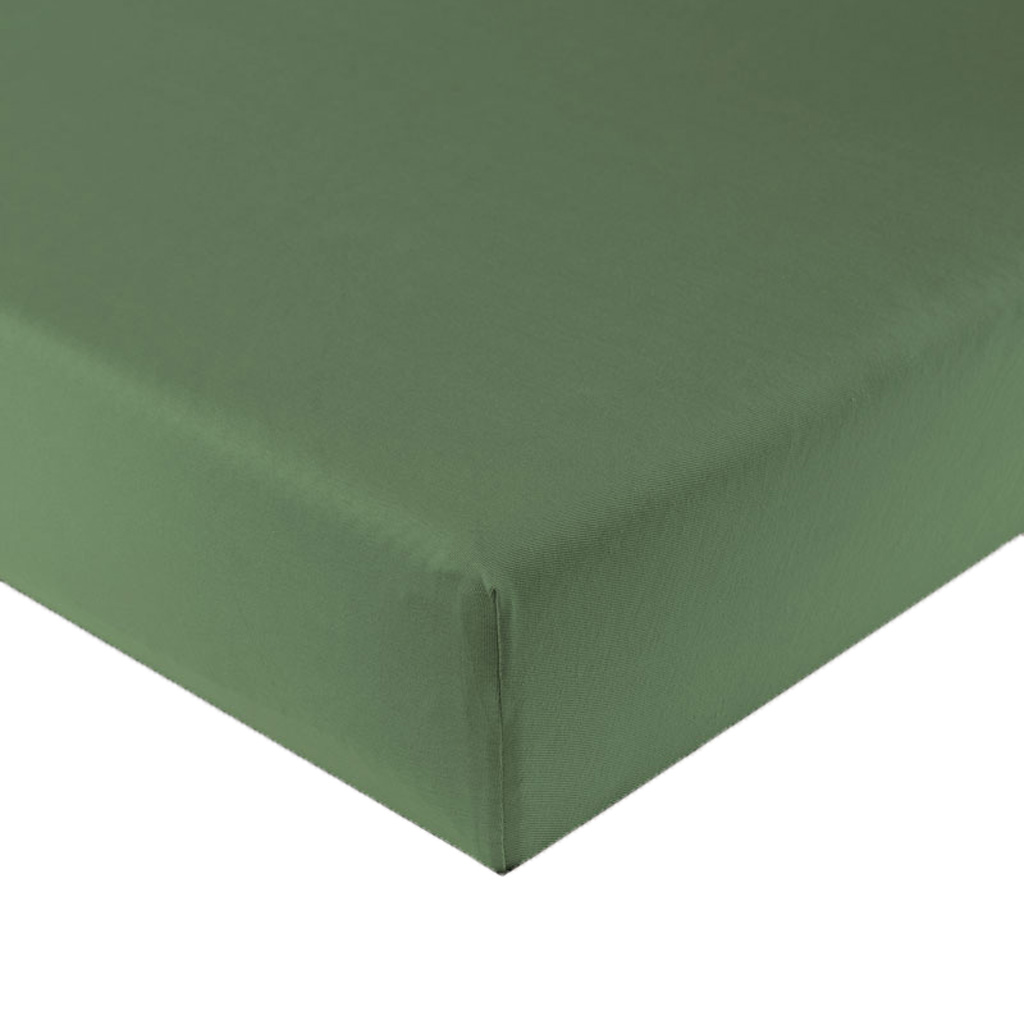 000008454803 - schilf