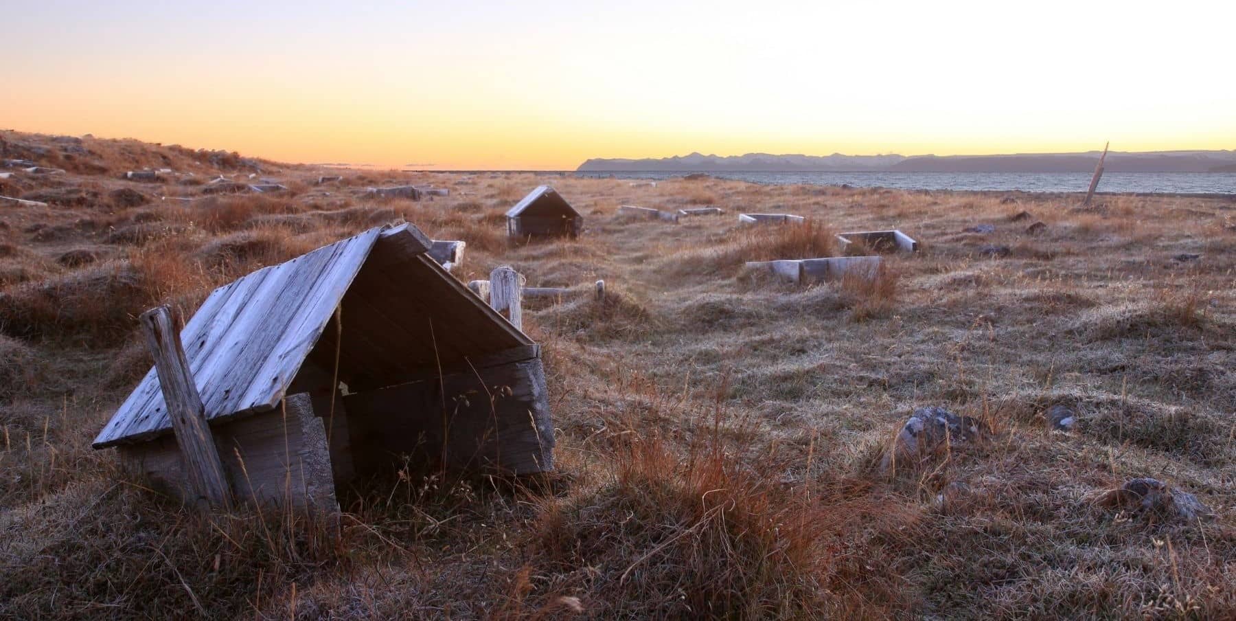 Eiderdaunen – Königin der Daunen