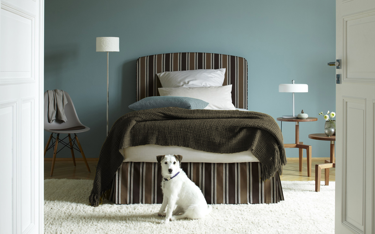 Superba Komfortbett Vor einem Superba Bett in Brauntönen sitzt ein kleiner, weißer Hund auf einem weißen Teppich