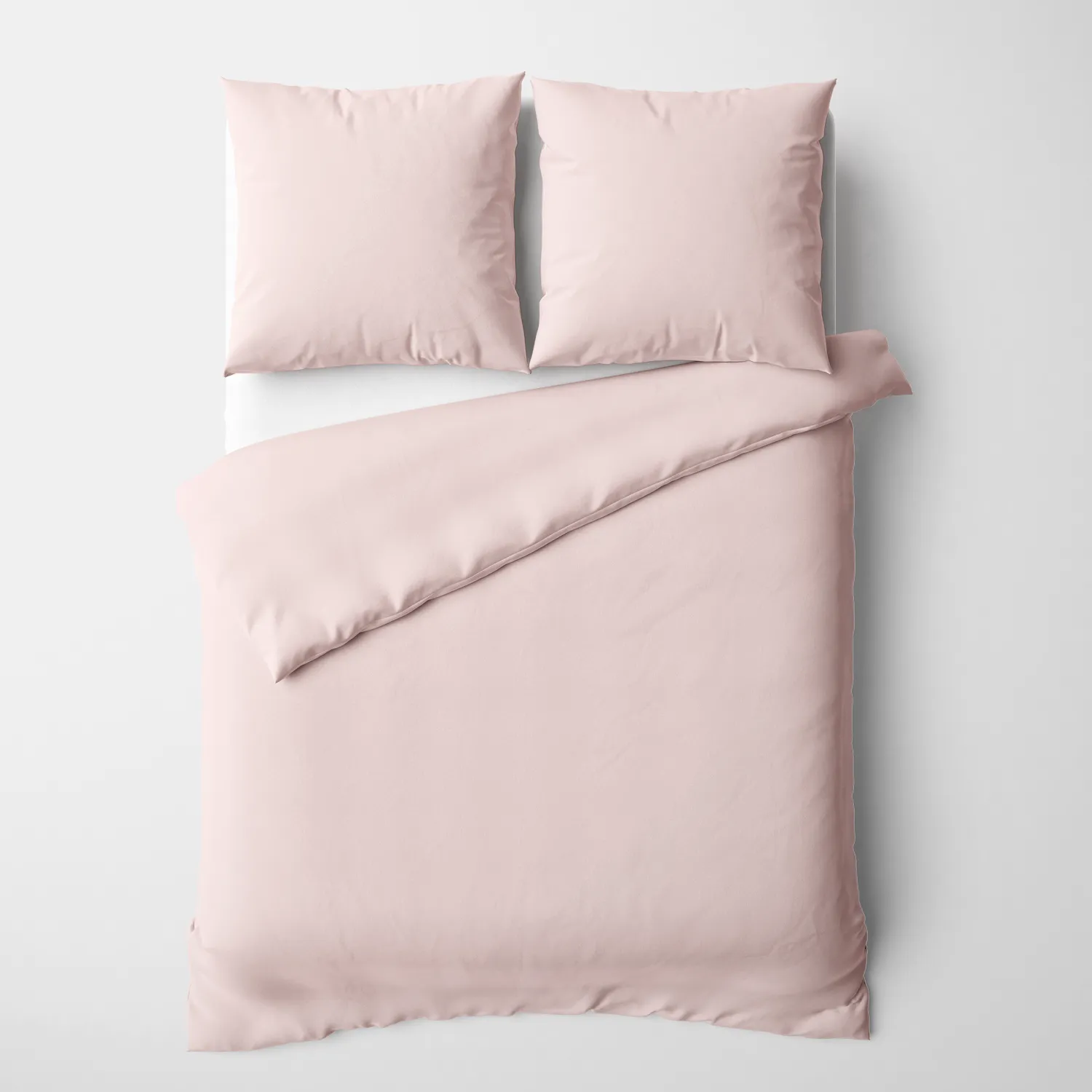 000009109405 - 5400 muschel