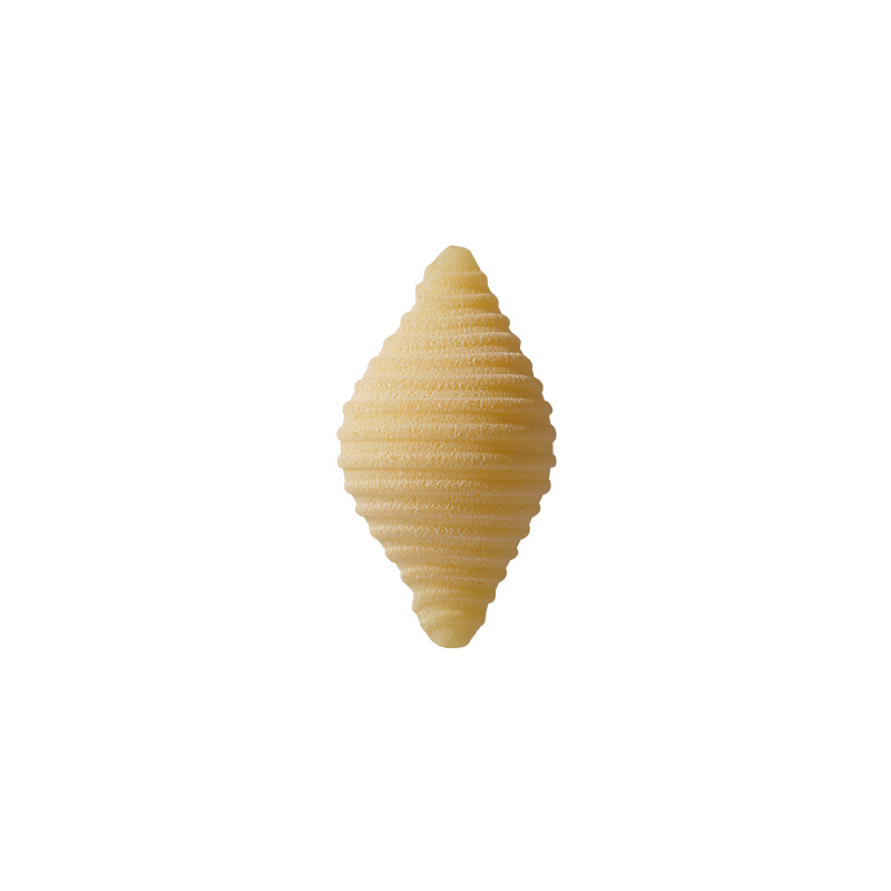Formansicht Rustichella d Abruzzo Conchiglie Pasta Abruzzen Italien Formansicht der Rustichella d Abruzzo Conchiglie Pasta Abruzzen Italien