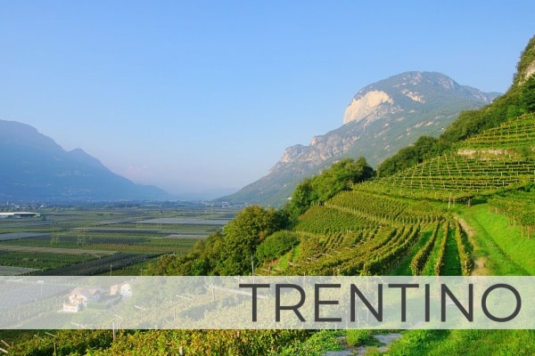 Region Trentino mit Weinbergen in Steilhängen und Bergen