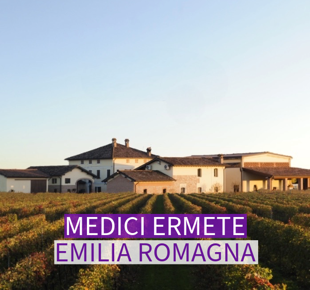 Aussenansicht der Kellerie MEdici Ermete mit Weinreben im Vordergrund