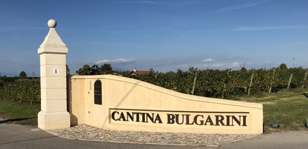 Blick auf das Einfahrtstor der Cantina Bulgarini Wein