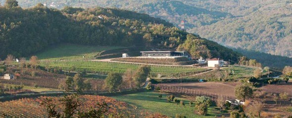Vinosia (Kampanien) Vinosia (Kampanien)