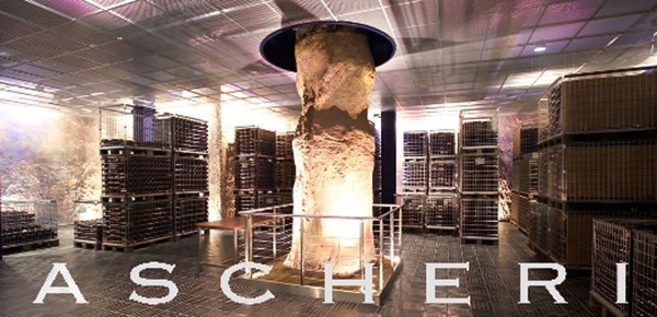 Kellerei Ascheri Kellerei Ascheri Ansicht unterirdischer Keller Weingut Ascheri mit historischen baum in der Mitte