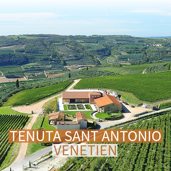 Kellerei Sant Antonio Venetien Italien Quadratisches Luftbild der Kellerei Sant Antonio inmitten von Weinbergen in Venetien Italien