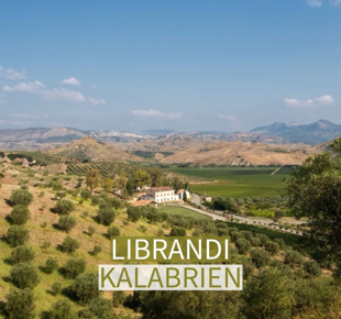 Kellerei Librandi aus Kalabrien Italien Luftbild über die Weinberge und Olivenhaine der Kellerei Librandi aus Kalabrien Italien