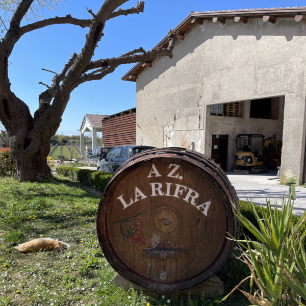 Altes Holzfass vor der Kellerei La Rifra