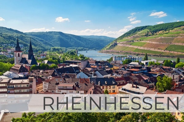 Region Rheinhessen Blick über Worms auf den Rhein
