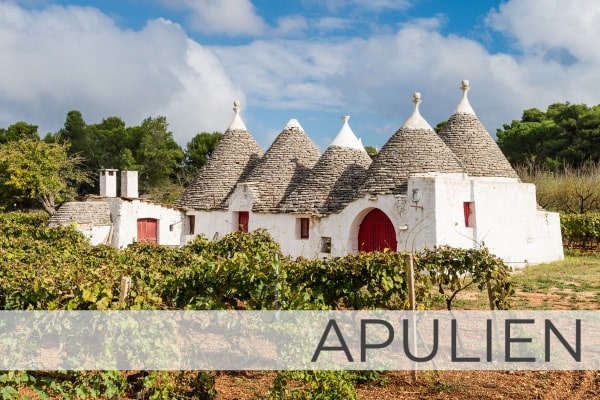 Region Apulien Weine und wein aus apulien Region Apulien Weine und wein aus apulien