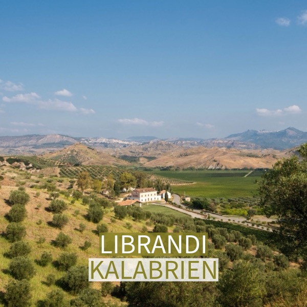 Kellerei Librandi aus Kalabrien Italien Luftbild der Kellerei Librandi aus Kalabrien Italien